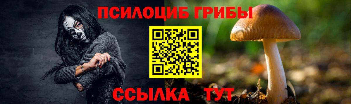 Лангепас  Галлюциногенные грибы Psilocybine cubensis  Вход с VPN 