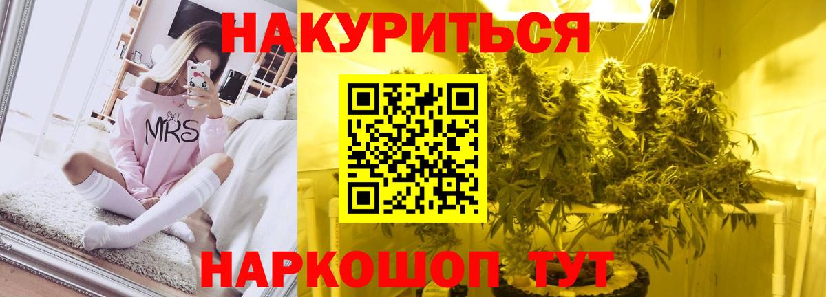 Конопля гибрид Лангепас